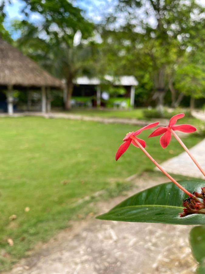 Eco Hotel Bosque Encantado Isla Grande  Exterior photo