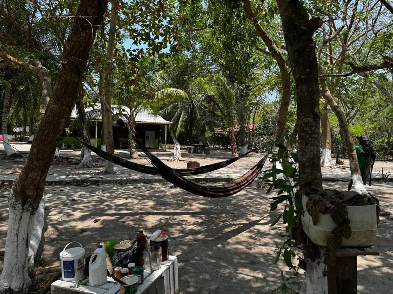 Eco Hotel Bosque Encantado Isla Grande  Exterior photo